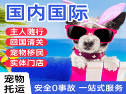 昆明航空空运国际宠物托运 【国